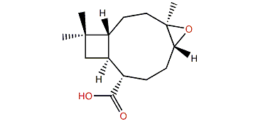 Rumphellolide B